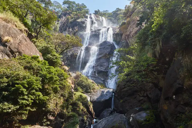 Forested slopes of the Udzungwa Mountains