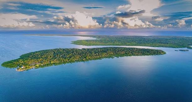 Mafia Island marine park